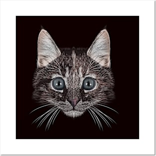 FUNNY CAT Posters and Art